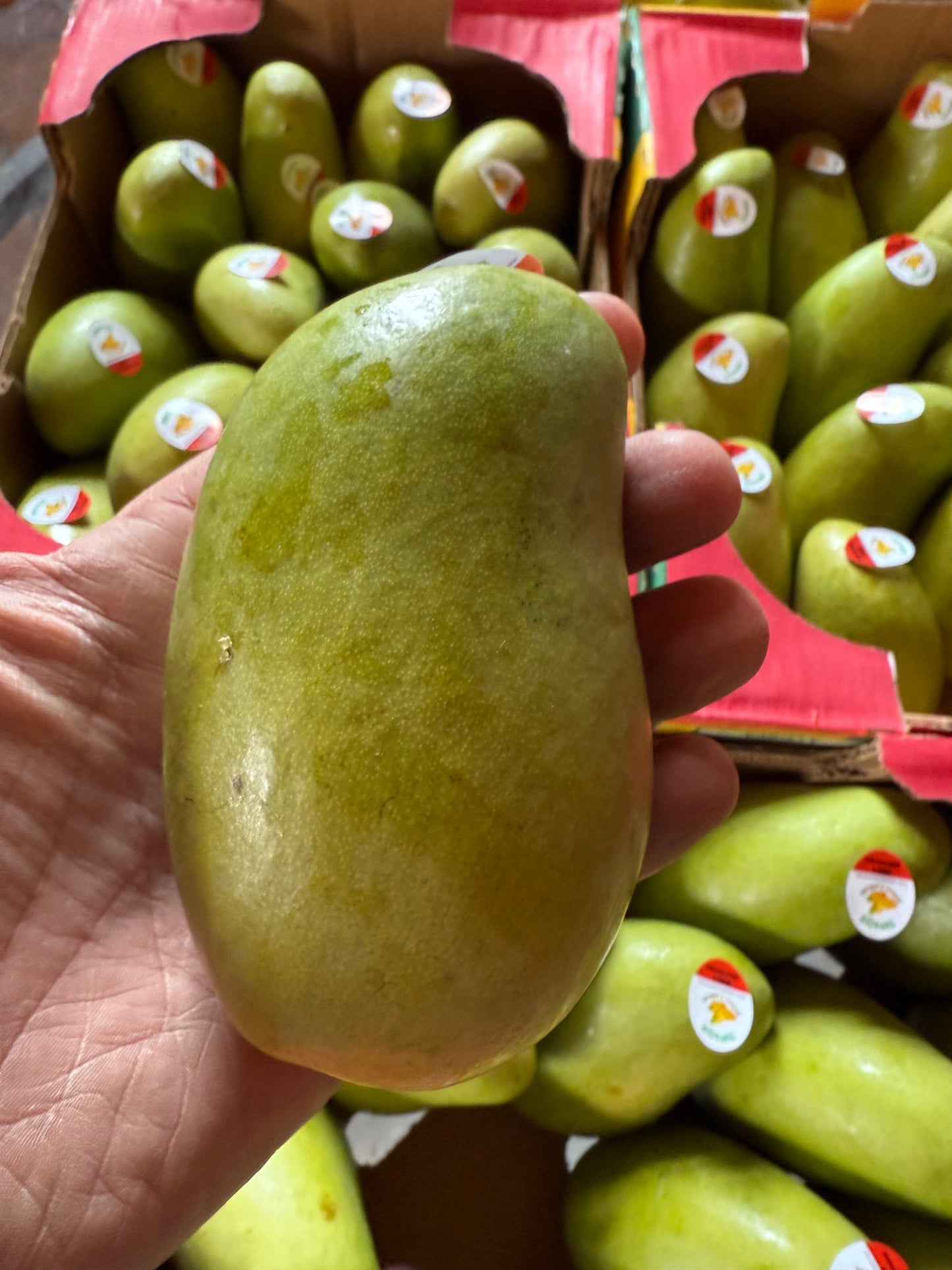 Ataulfo Mangos (Product of Mexico) - each
