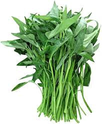 Water Spinach Seeds - Kangkong