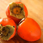 Hachiya Persimmon Tree - preorder for May delivery