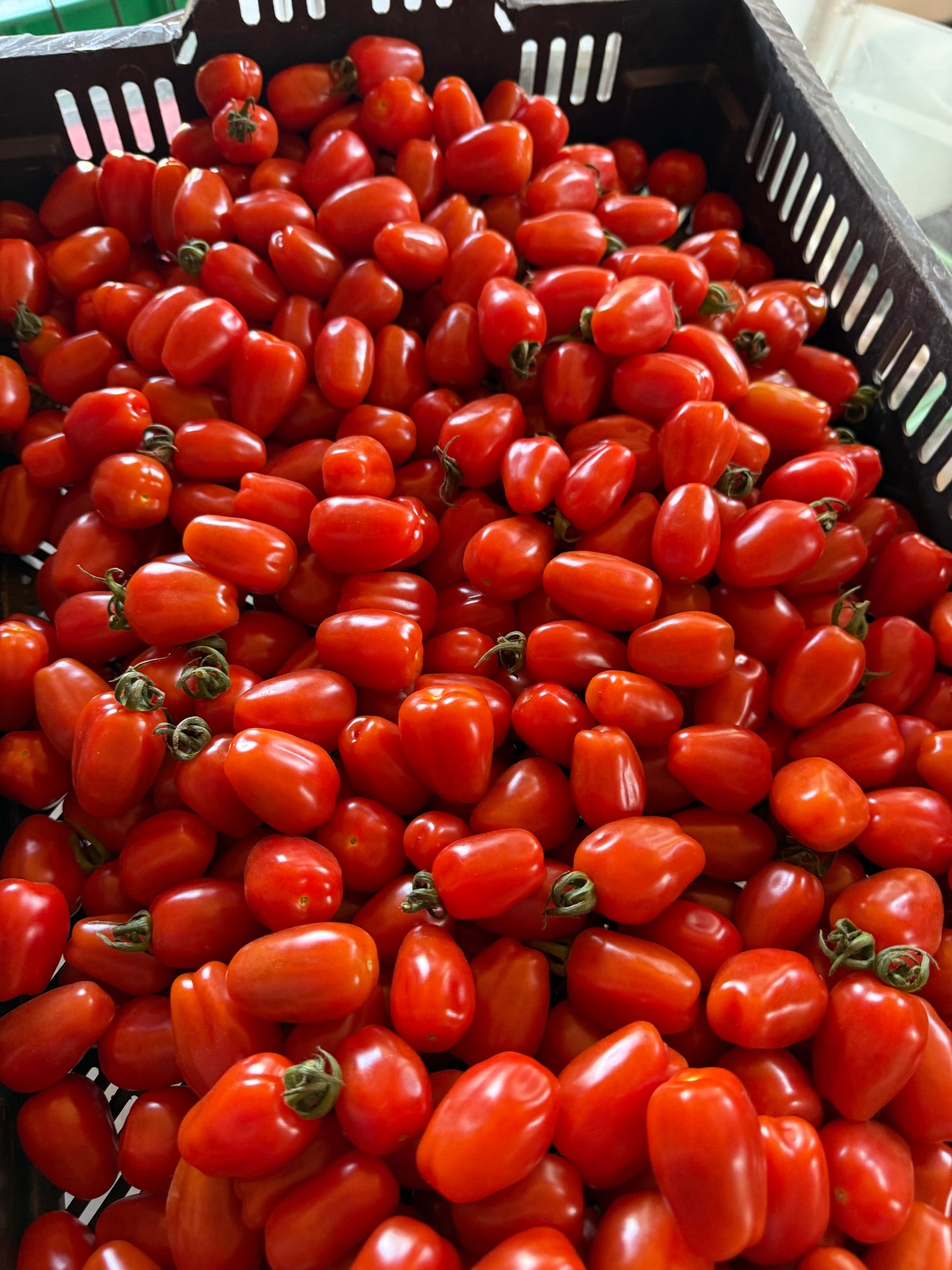 Organic Grape Tomatoes - 0.5 lb bag