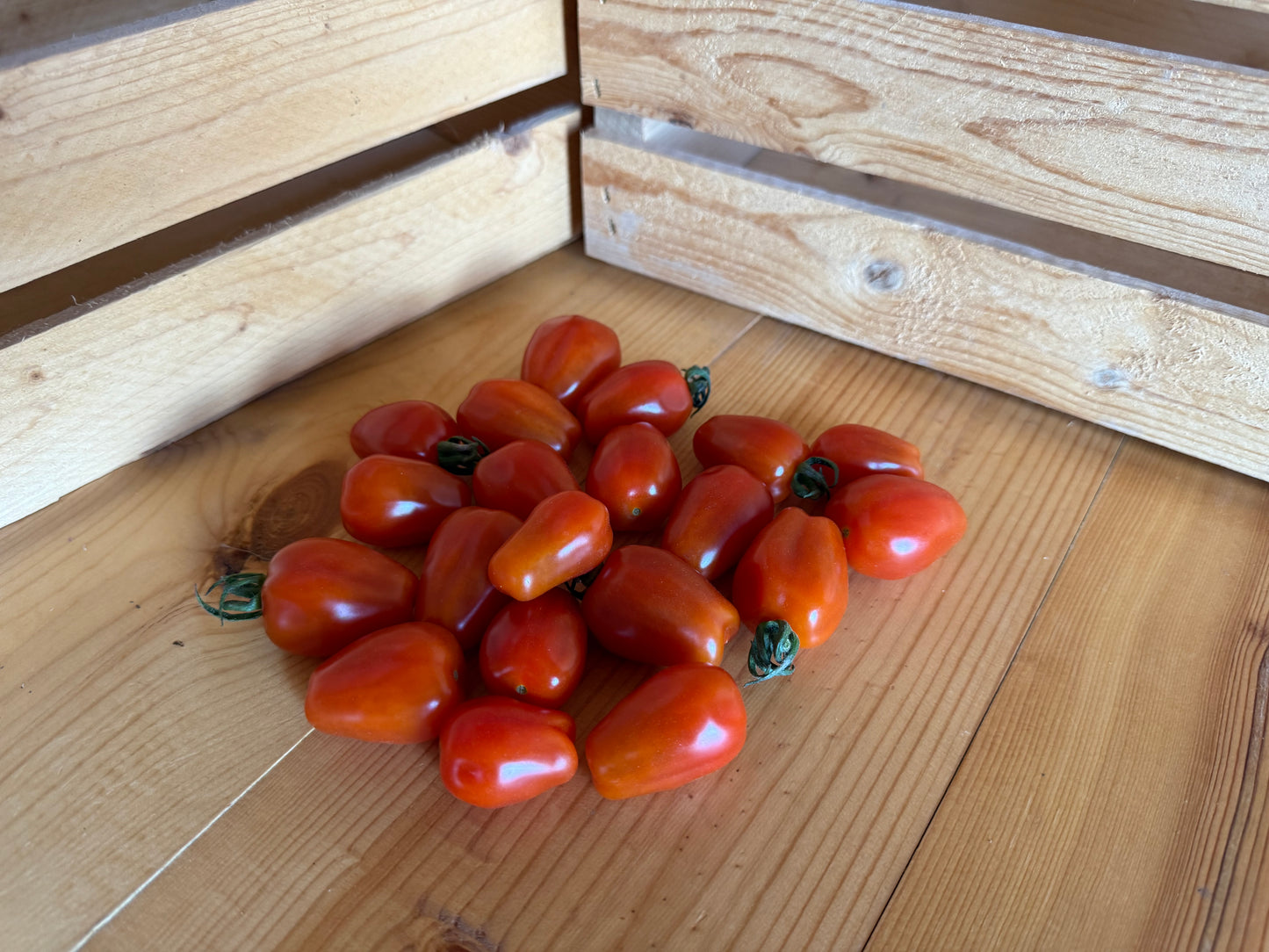 Organic Grape Tomatoes - 0.5 lb bag