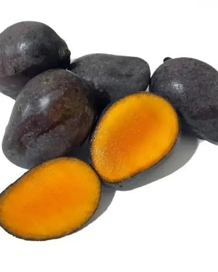 Casturi (Kasturi) Mango Tree