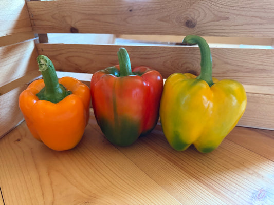 Organic Sweet Bell Peppers - Pack of 3