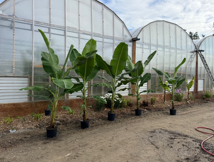 <h2>How can we help?</h2><h2><br/><span style="text-decoration:underline">We are here for you!</span></h2>